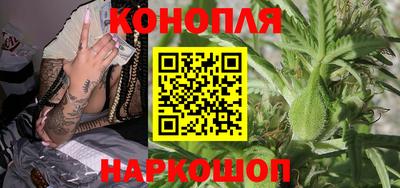 Альфа ПВП Нальчик