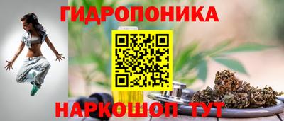 Альфа ПВП Нальчик