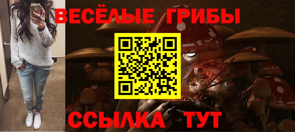 Псилоцибиновые грибы Magic Shrooms Чернушка