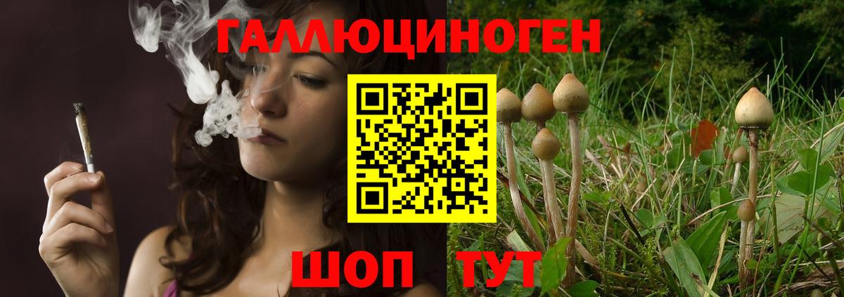 Чернушка  Псилоцибиновые грибы Cubensis  Галлюциногенные грибы мицелий  Вход с VPN 